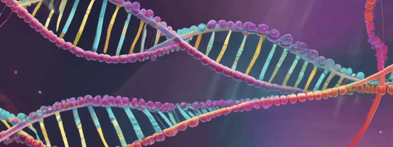 DNA Replication Errors