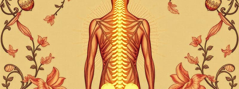 Stanbridge - T4 - TE2 - W2 - Spine & Posture Part 2