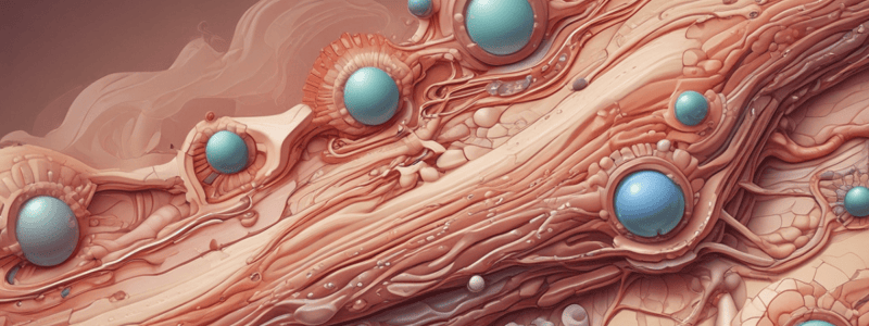 Skin Anatomy: Epidermis and Dermis