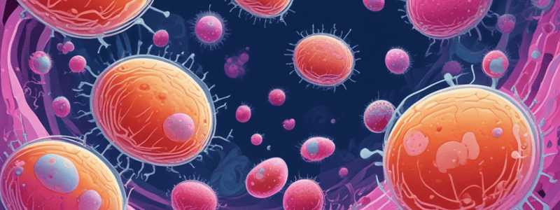 Neisseria Meningitidis Characteristics