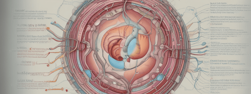 Ovulation and Corpus Luteum Formation