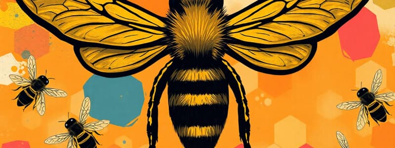 Organización Social de las Abejas