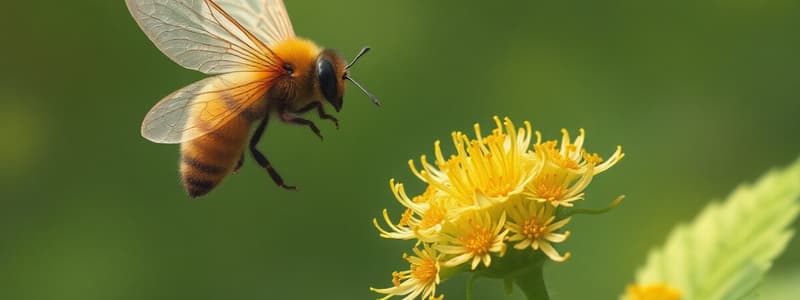 Pollinisation et défense des plantes