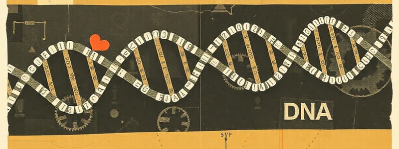 DNA Structure and Function Quiz