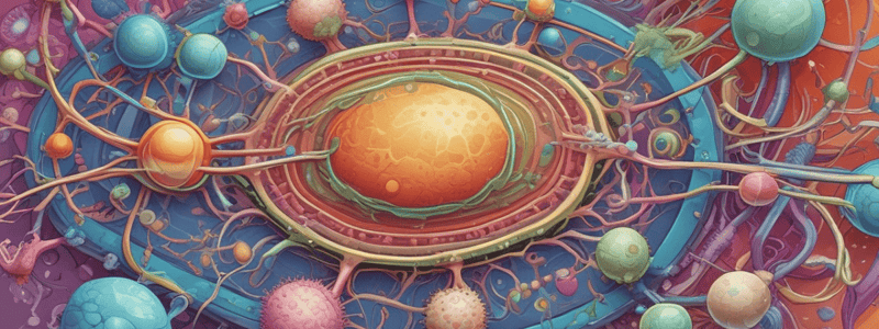 Cell Structure Comparison: Prokaryotes vs Eukaryotes