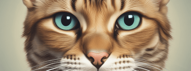 Feline Keratopathy: Understanding Lipid Deposition in Corneal Tissue