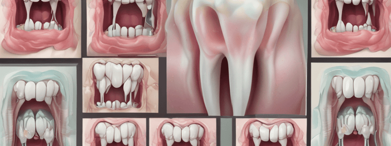 Tooth Development and Cavities