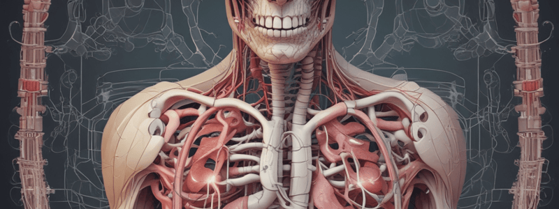 MEDI7100 - Upper GI Tract Anatomy Practical