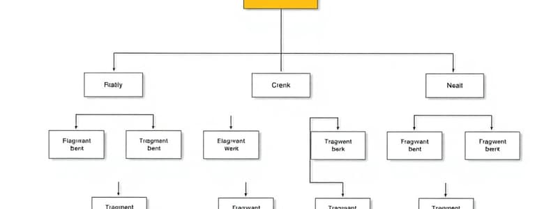 Organigramme et Structure Organisationnelle