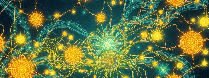 Physics Chapter: Circuits and Forces