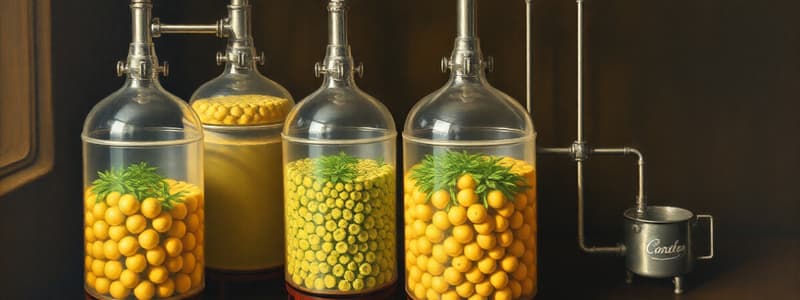 Understanding Fermenters in Biotechnology