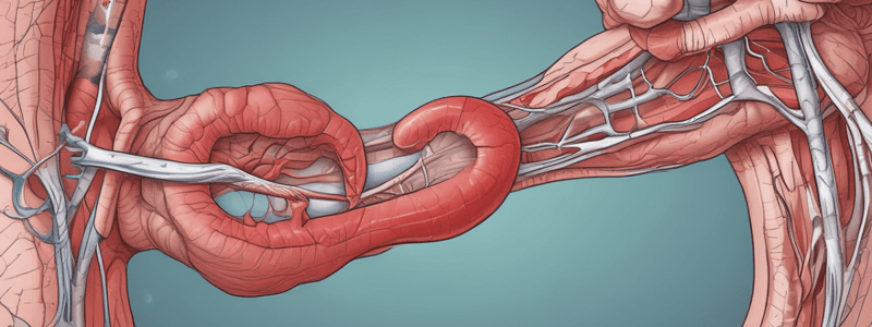 Cardiovascular Assessment: Tracheal Deviation and Jugular Venous Pressure