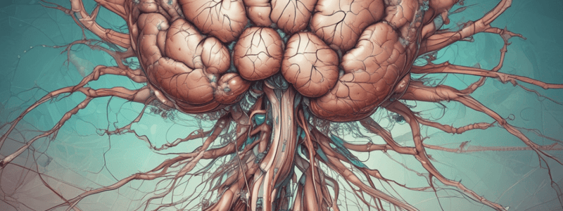 Basal Ganglia Structure and Disorders