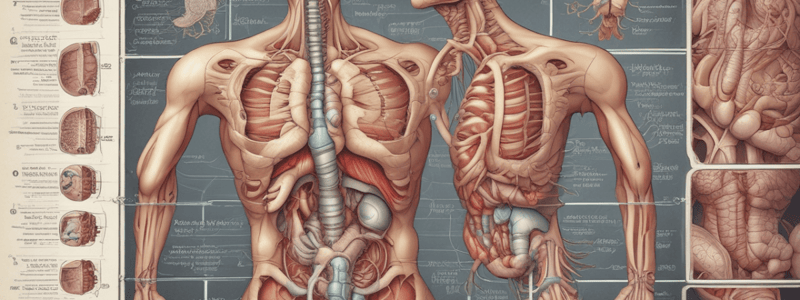 Digestive System