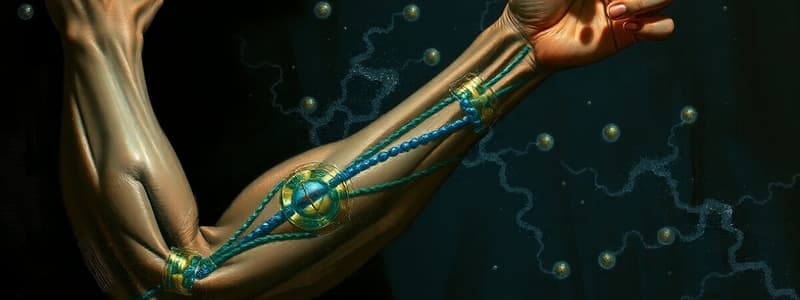 Biologia delle cellule muscolari