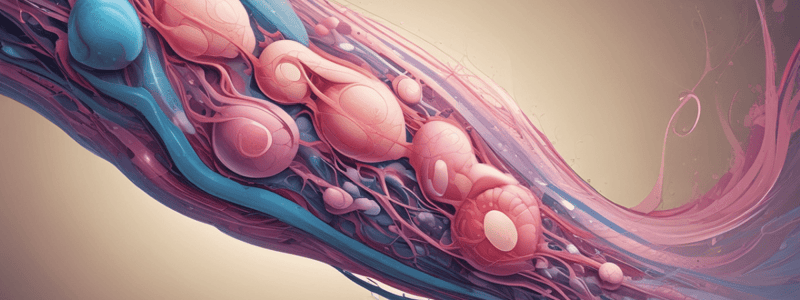 Reproductive Modes and Human Reproductive System