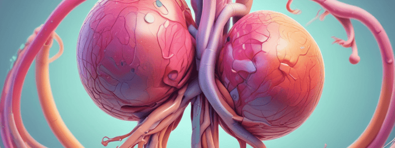 Urinary System and Urinalysis Quiz