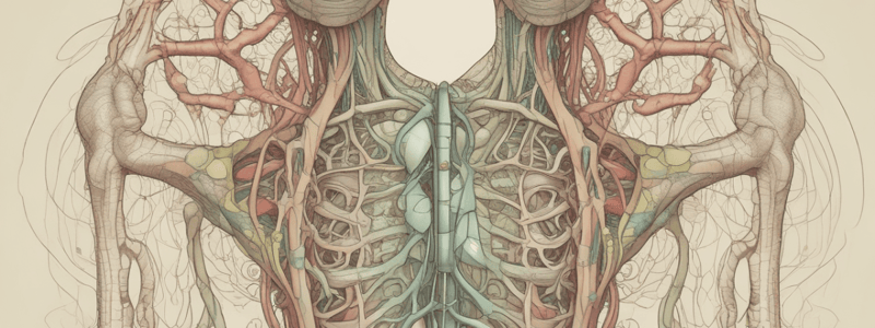 Lymphatic System Quiz