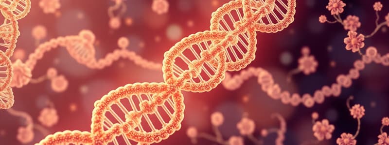 Nucleotide Structure and Function Quiz