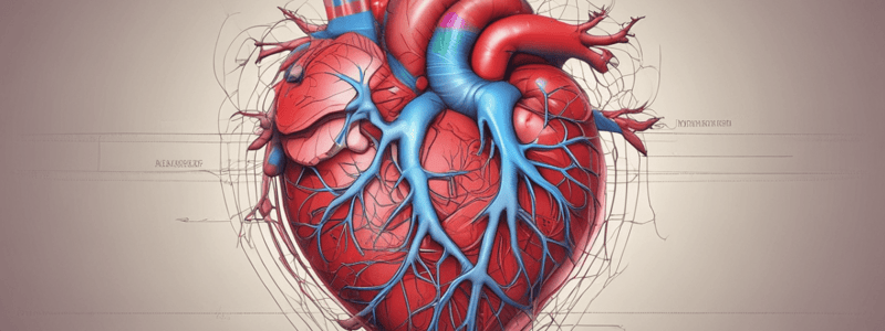 The Cardiovascular System