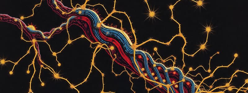 Cytoskeletal Motor Proteins Overview