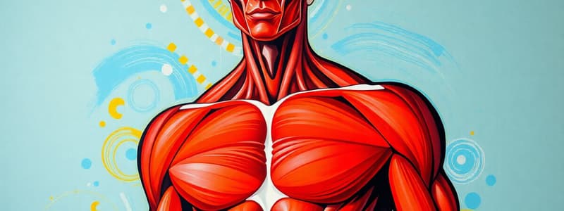 Muscular System Overview