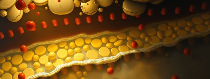 Pharmacology: Membrane and Drug Absorption