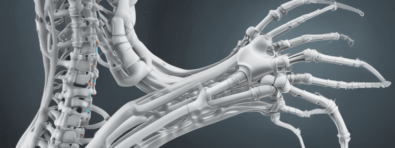 Kyphosis: Causes and Clinical Presentation