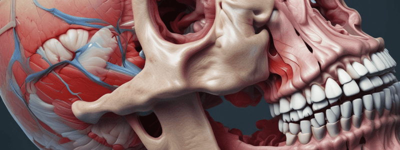 BMS 133: Nasal Cavity, Sinuses, and Pterygopalatine Fossa Bony Boundaries Quiz