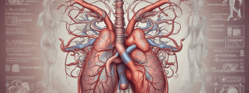 Cardiovascular and Respiratory System Quiz