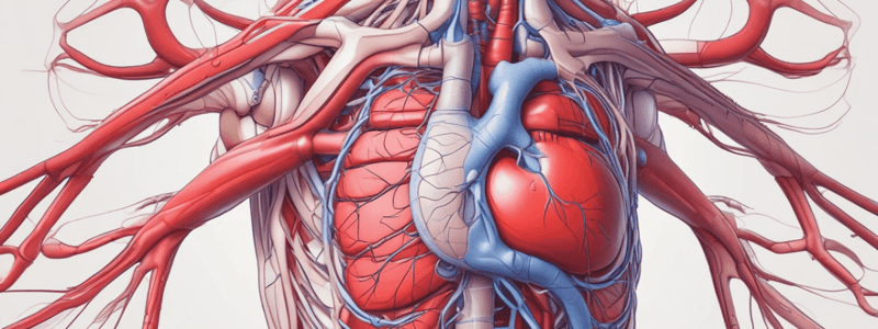 Biology Chapter 13 - The Cardiovassculer System