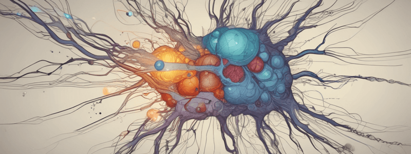 Chapter 8: Somatosensory Neurotransmission