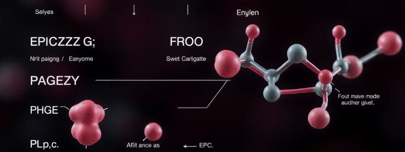 Biochemie Quiz über Enzyme