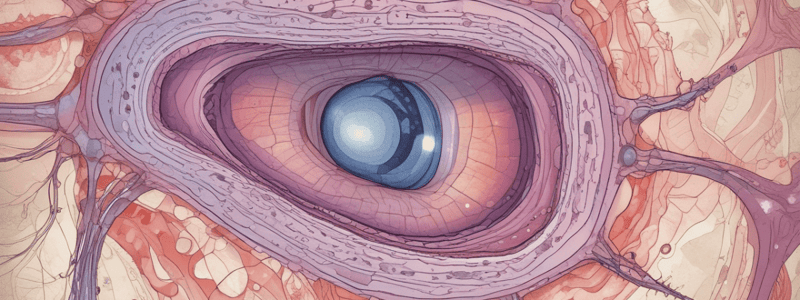 Transitional Epithelium Characteristics