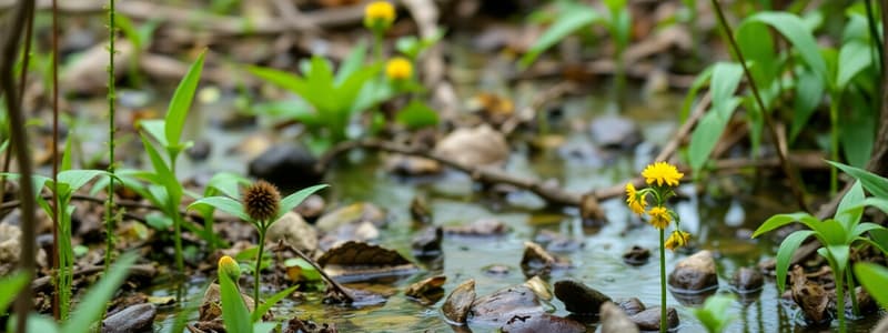 Ecosystems and Their Characteristics Match Quiz