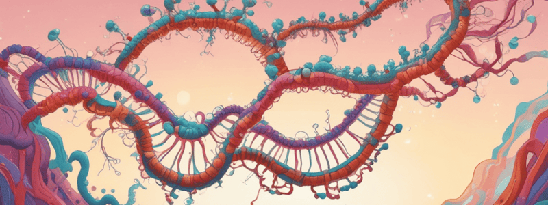 T.11 Factores generales de transcripción (GTFs)