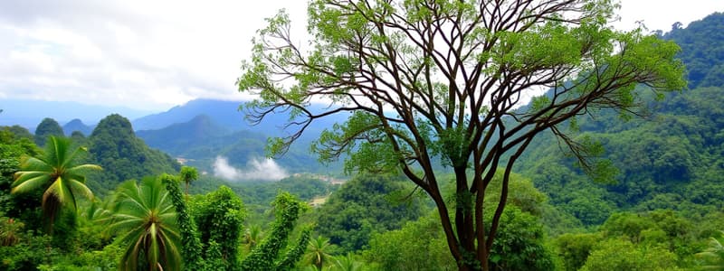 Physical Characteristics of Regions in the Philippines