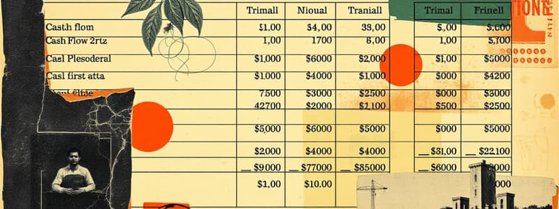 Cash Flow Statement Characteristics Quiz