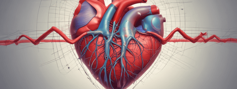 Electrocardiografía: Excitabilidad y Conducción del Corazón