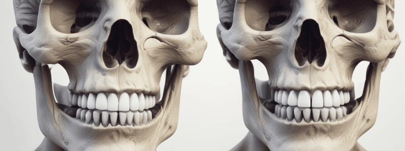 TMJ: Temporomandibular Joint Lecture