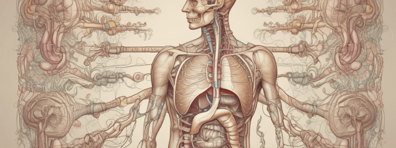 PSL 250 Lecture 20 (Digestive System)