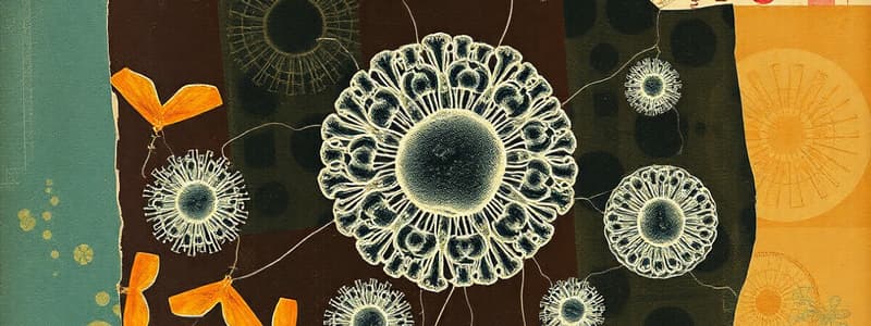 Prokaryotic vs. Eukaryotic Cells Quiz