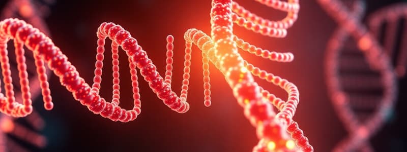 DNA Structure: Key Concepts and Discoveries