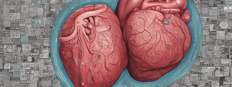 Mechanism of β-Blockers in Exertional Angina