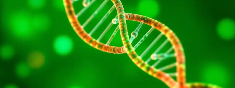 Nucleic Acid Structure and Function