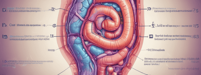 大腸癌のEX、ND、Tumor deposit