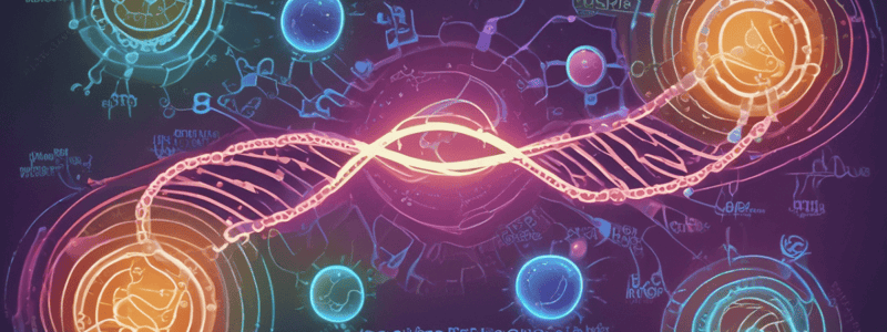 Muscle Bio Week 8: Basics of Gene Transcription and Protein Synthesis