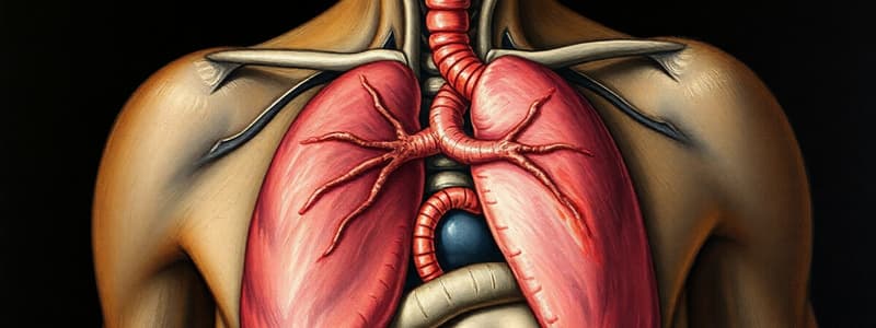 Digestive and Respiratory Systems Overview