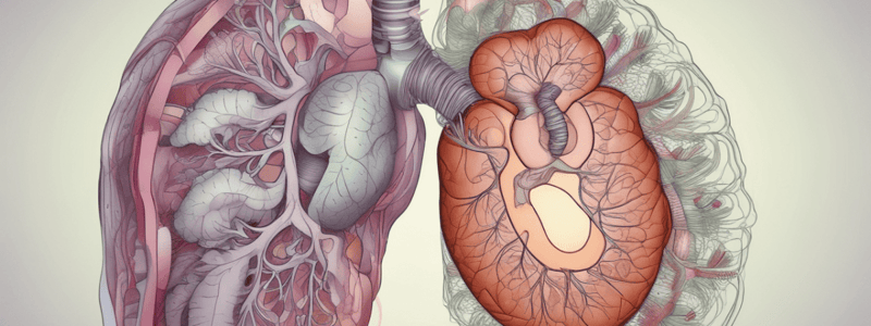 Abnormal Lung Sounds Quiz