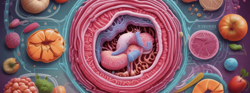 Digestive System: Food Processing Journey Explained